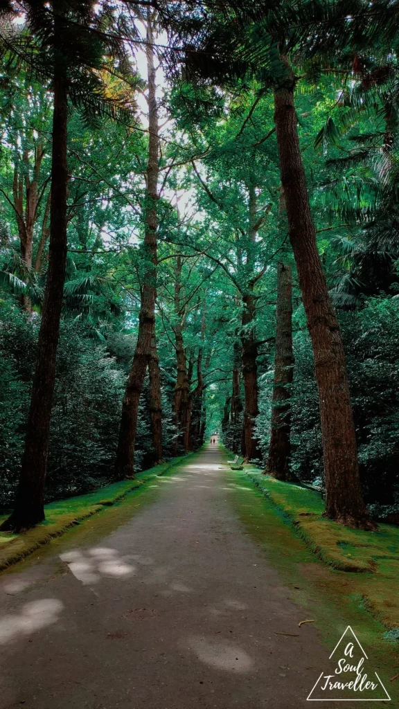 parque terra nostra