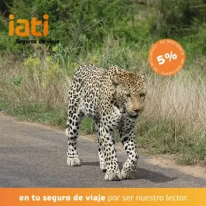Boton IATI Sudáfrica Leopardo Parque Kruger