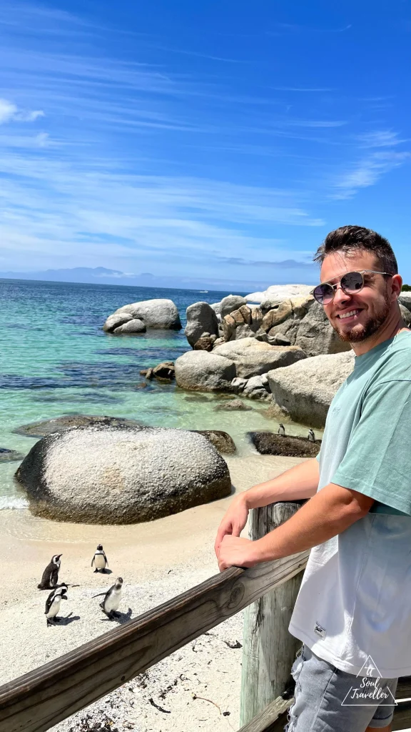 Qué ver en Ciudad del Cabo, Sudáfrica. Boulder's Beach