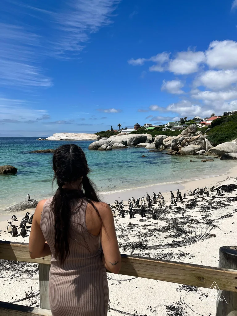 Qué ver en Ciudad del Cabo, Sudáfrica. Boulder's beach