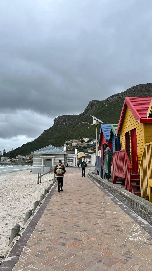 Qué ver en Ciudad del Cabo, Sudáfrica, Muizenbergs beach