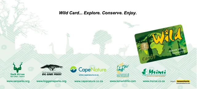 WILDCARD Safari en el Kruger