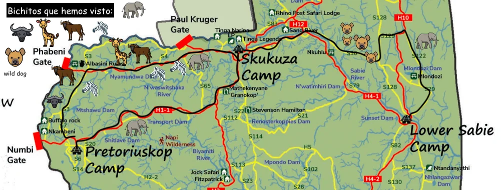 Recorrido en el Kruger 3