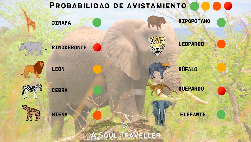 Probabilidad de ver animales en el Kruger