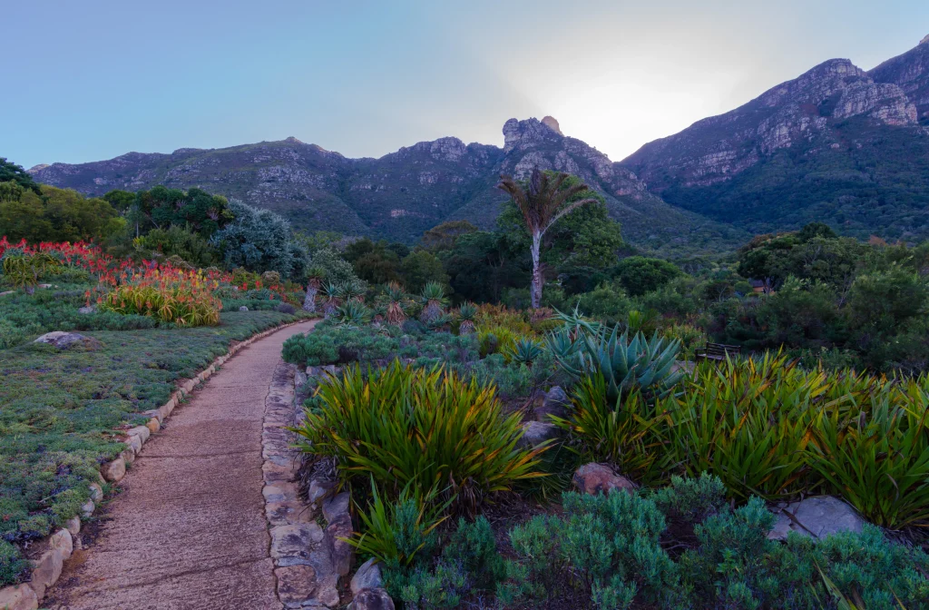 Kirstenbosch Jardín Botánico nacional