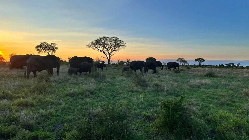 Ruta por Sudáfrica en 8, 10 y 12 días