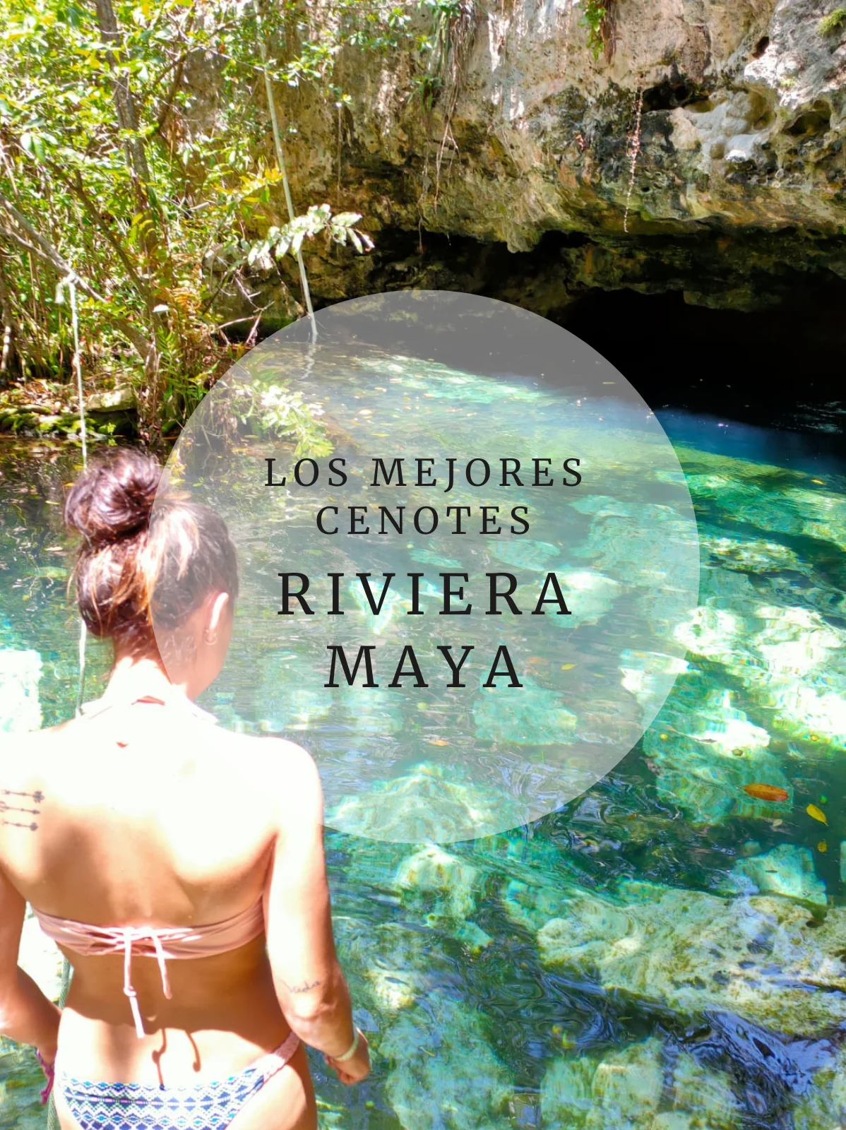 Los mejores cenotes de Riviera Maya post relacionados Los mejores cenotes de Riviera Maya portada
