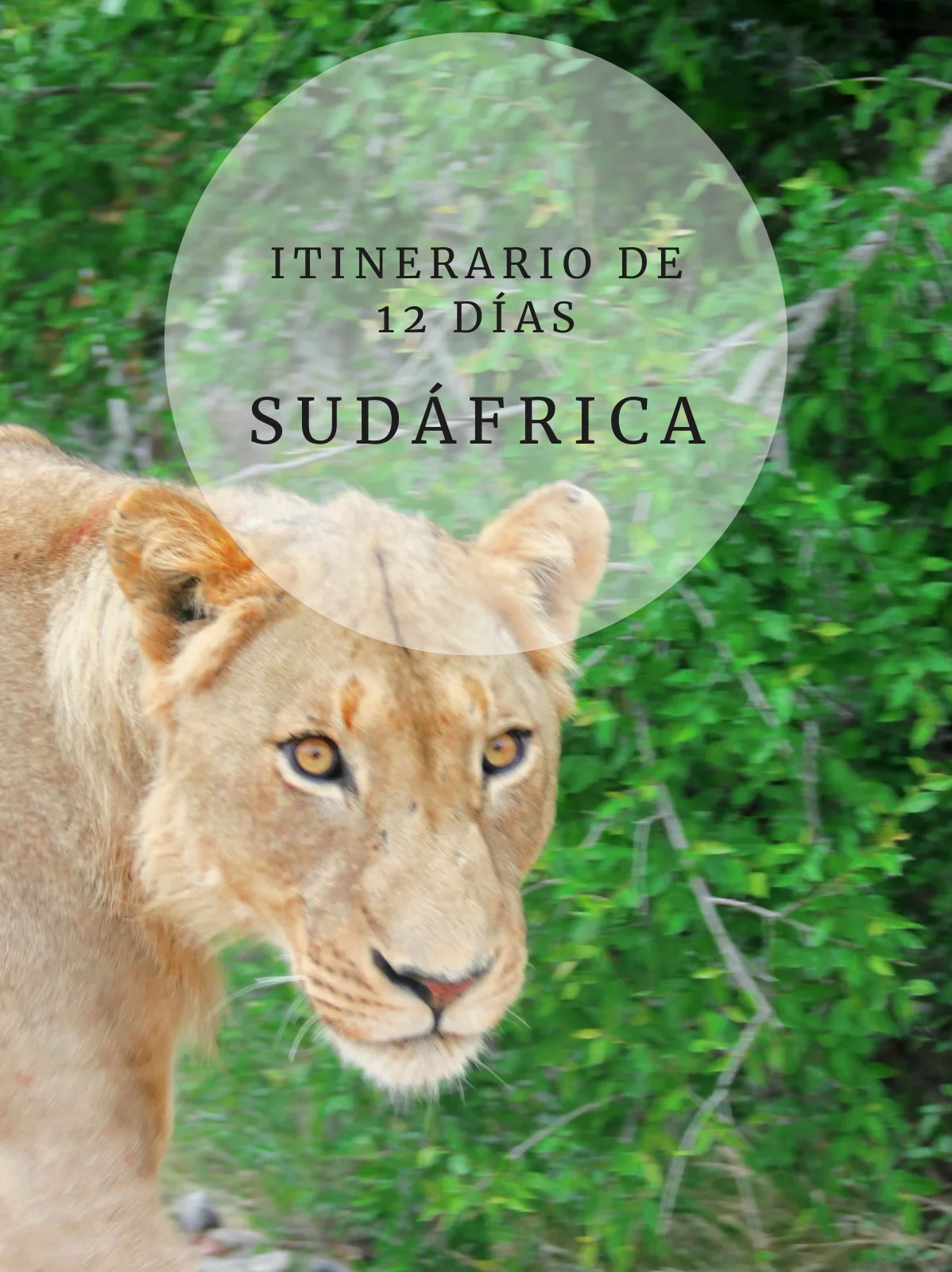Itinerario de 12 días en Sudafrica post relacionados Itinerario de 12 días en Sudafrica