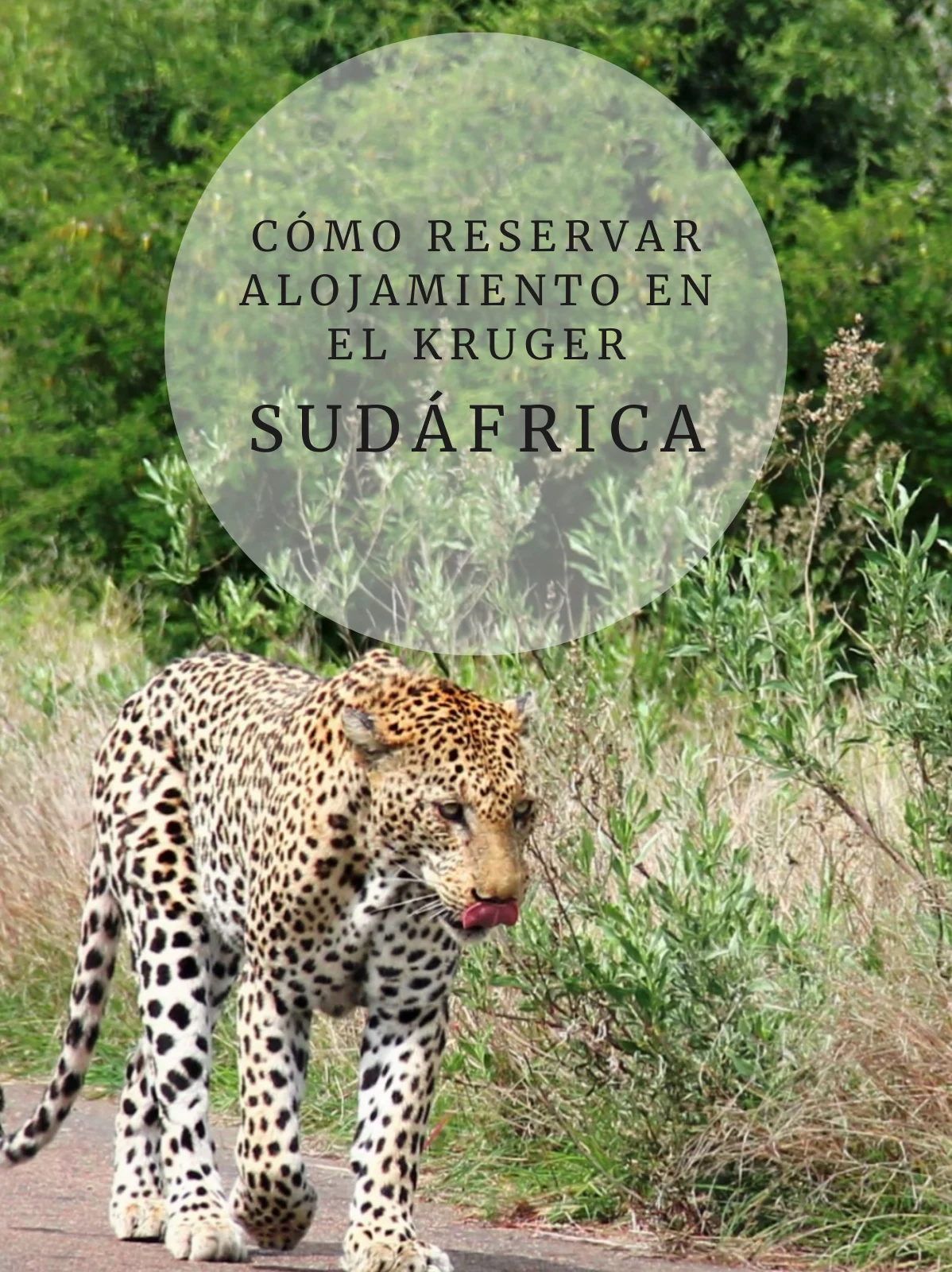 Como reservar alojamiento en el kruger, Sudafrica post relacionados Como reservar alojamiento en el kruger, Sudafrica