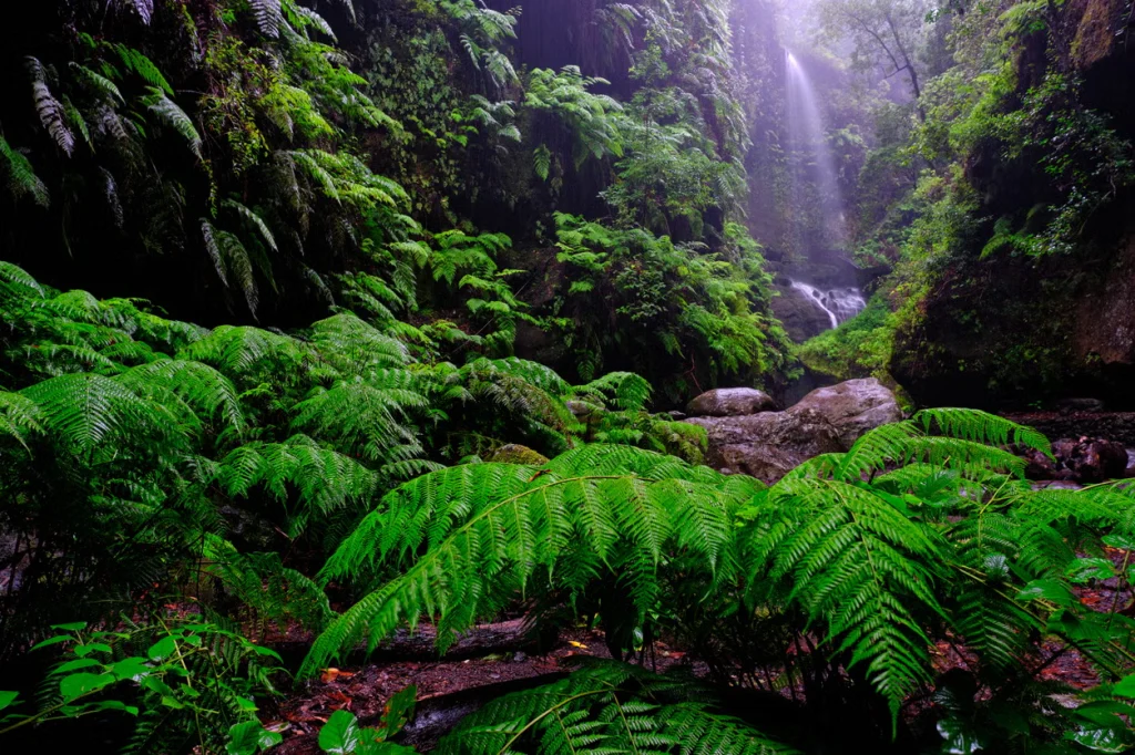 Cascada de Los Tilos en el sendero de los nacientes de Marcos y Cordero