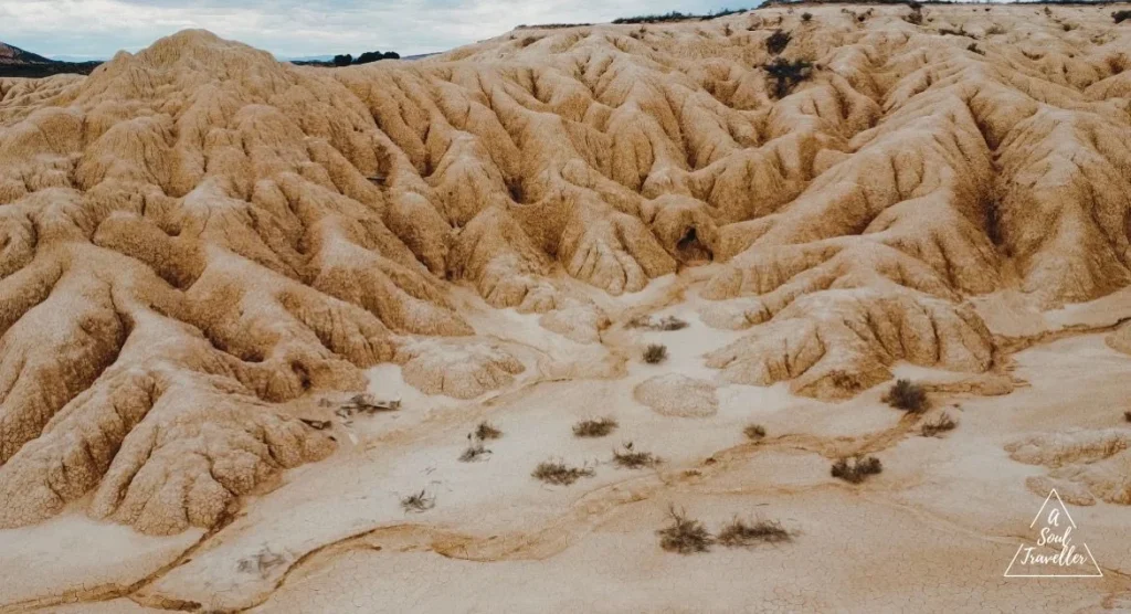 BARDENAS REALES