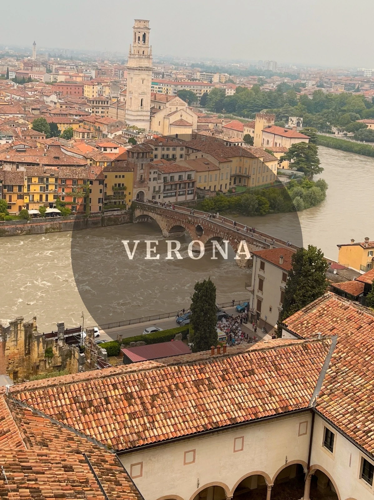 WhatsApp-Image-2024-07-31-at-19.39.57 Portada Verona