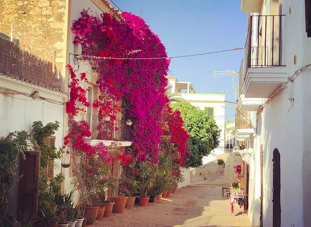 Excursiones ibiza