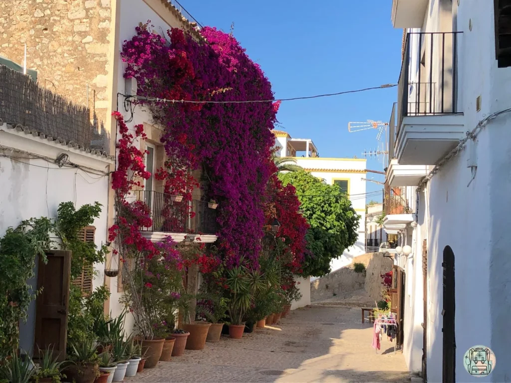 Ibiza, donde alojarse en Ibiza