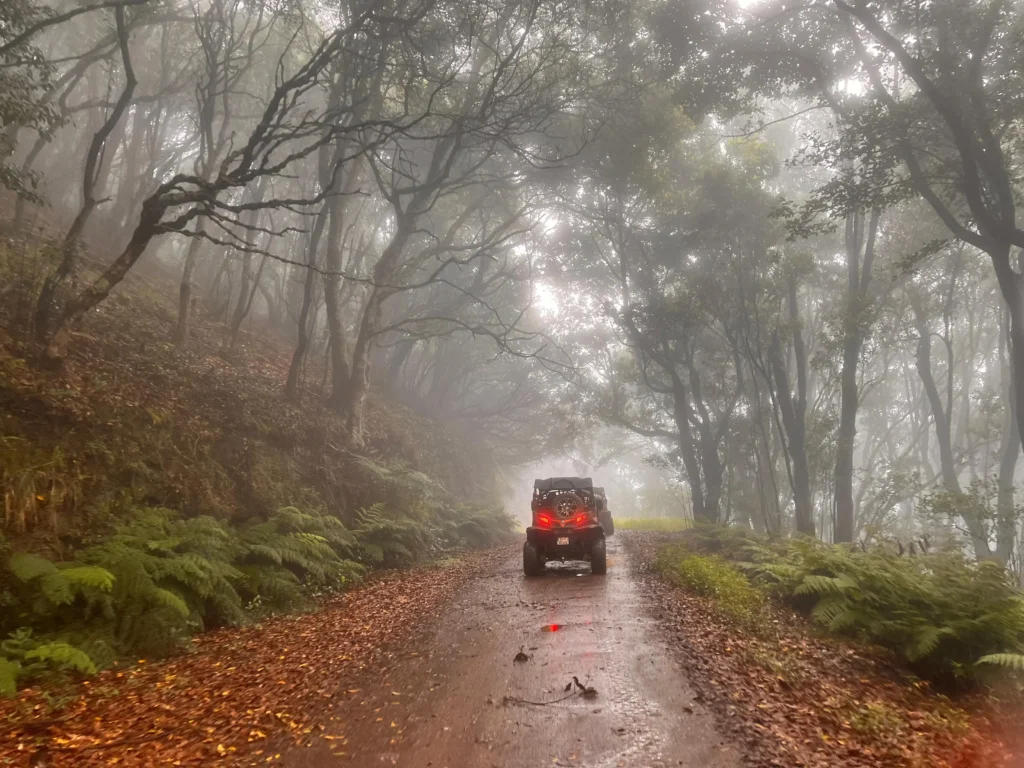 Excursion en Buggy por Madeira