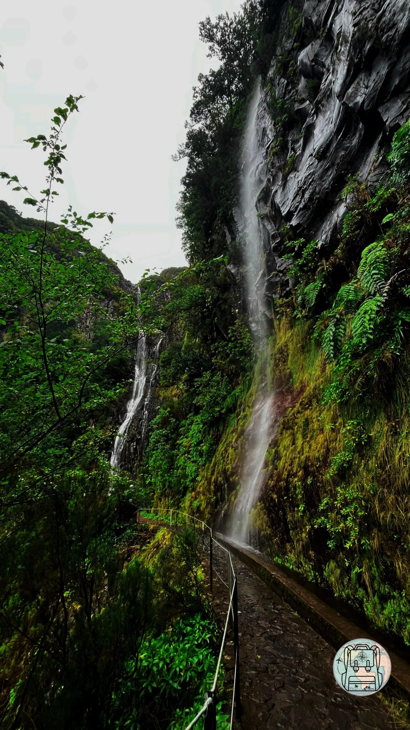 Cascata do Risco, las 10 mejores cascadas de Madeira Cascata do Risco, las 10 mejores cascadas de Madeira