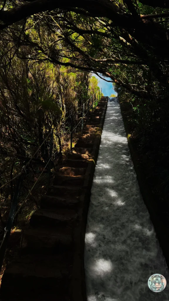 Qué hacer en Madeira: Ruta de Levada das 25 Fontes