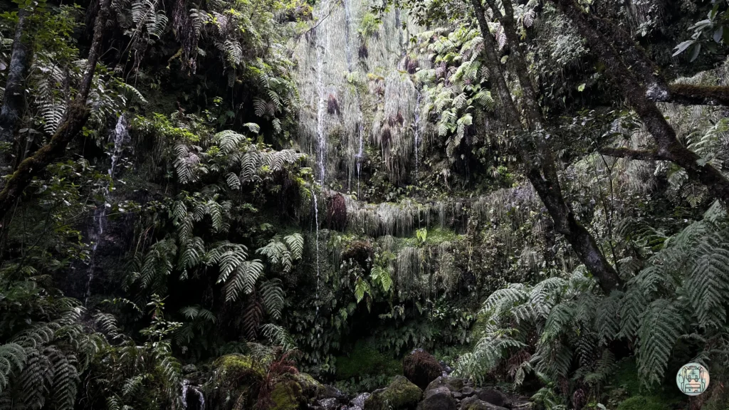 Ruta Caldeiroa Verde, Que ver en Madeira