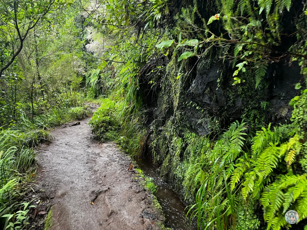 Ruta Caldeiroa Verde, Que ver en Madeira