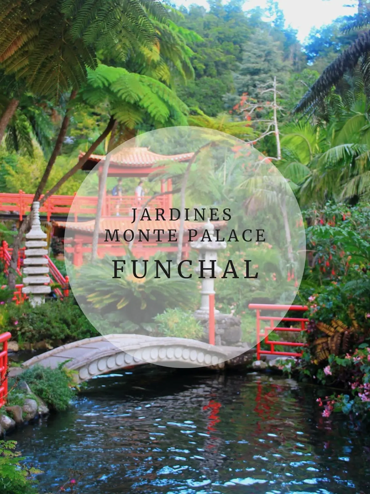WhatsApp-Image-2024-12-04-at-12.44.54 Portada Monte Palace