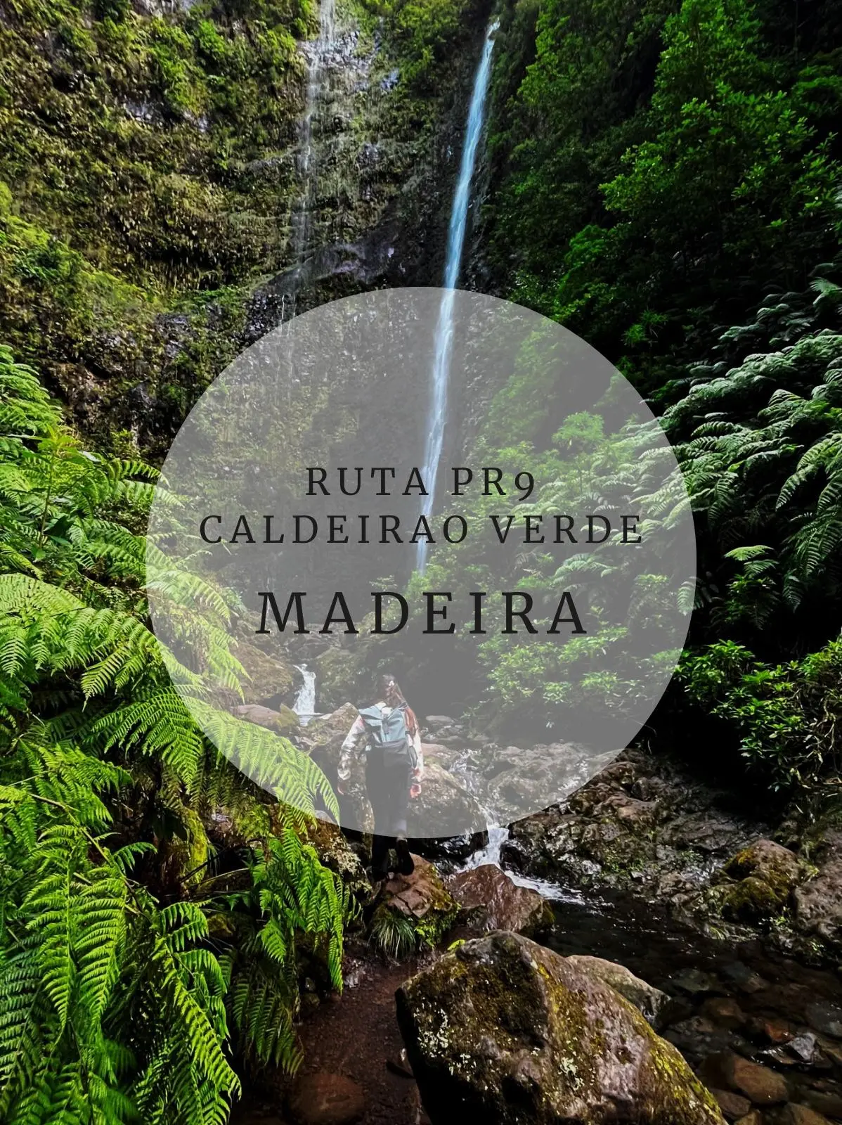WhatsApp-Image-2024-12-18-at-19.36.48 Portada Caldeirao Verde