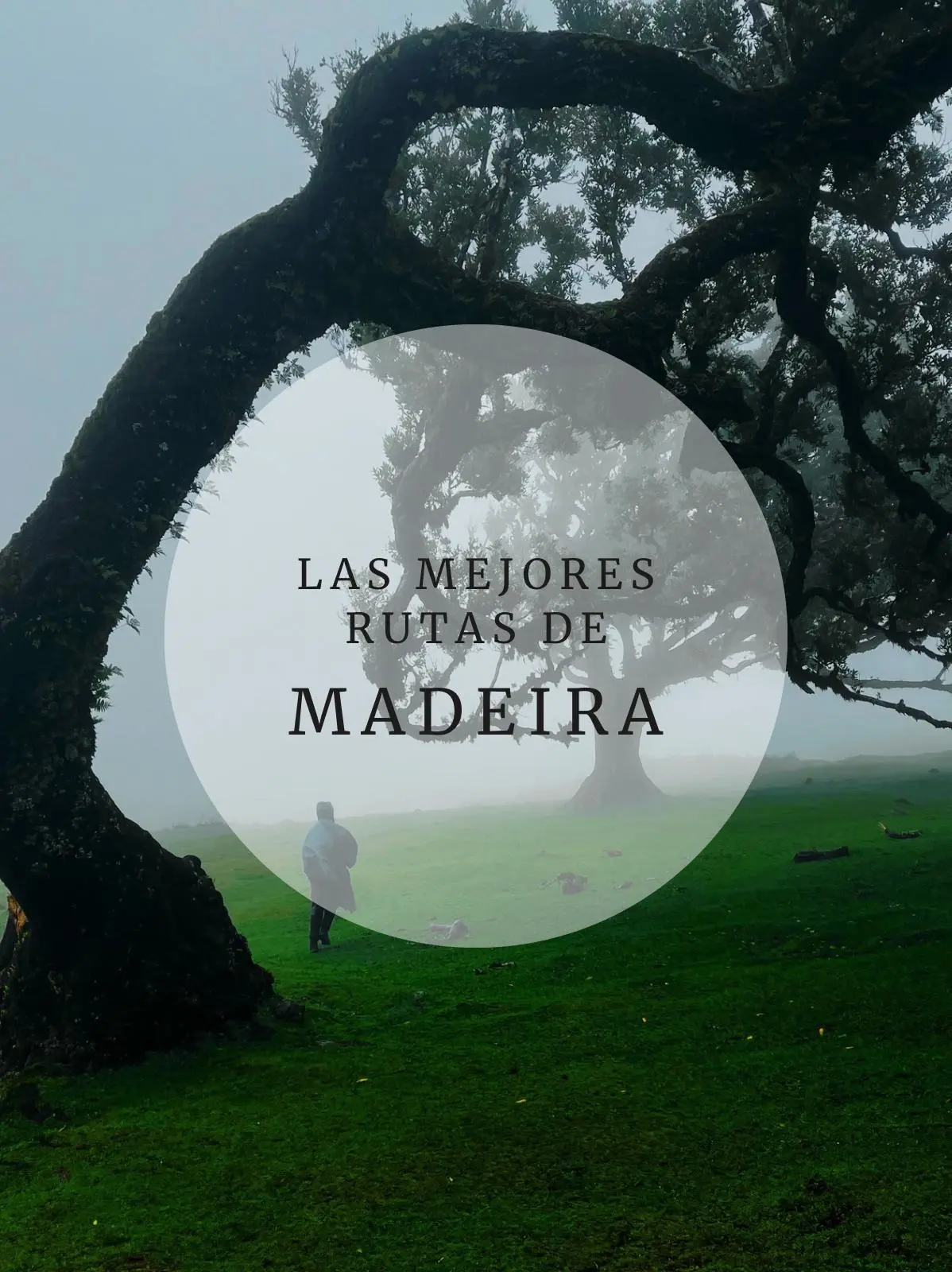 WhatsApp-Image-2024-12-18-at-19.38.49 Portada Rutas de Madeira