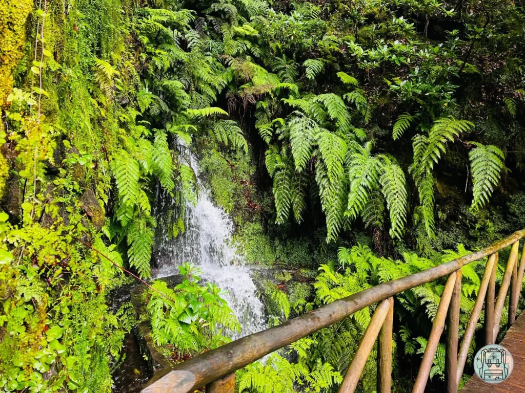 Las mejores levadas de Madeira