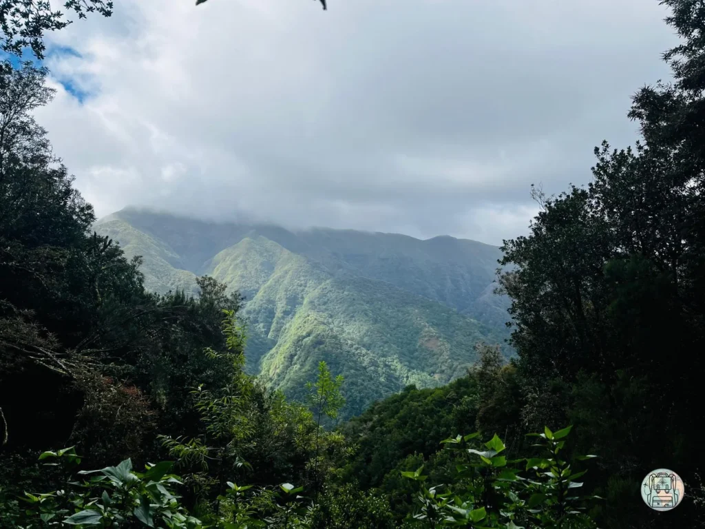 Vistas en Levada do Rei