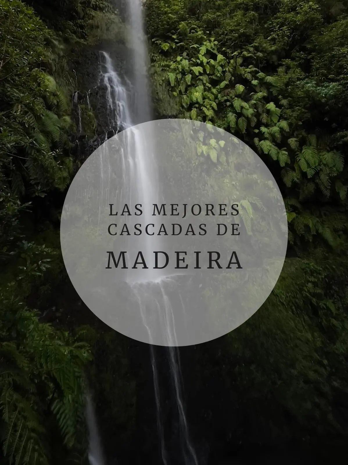 WhatsApp-Image-2024-12-25-at-14.45.55 Portada Cascadas de Madeira