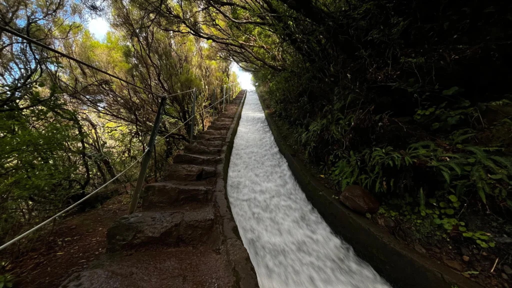 Levada en madeira