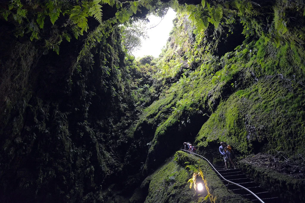 Algar do Carvao en Terceira. Una cueva volcánica accesible con vegetación en las paredes