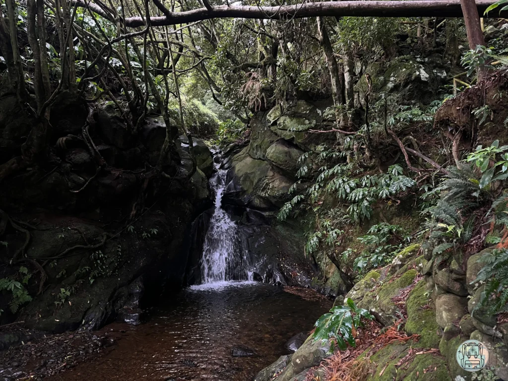 Cascata das Frechas en Agualva