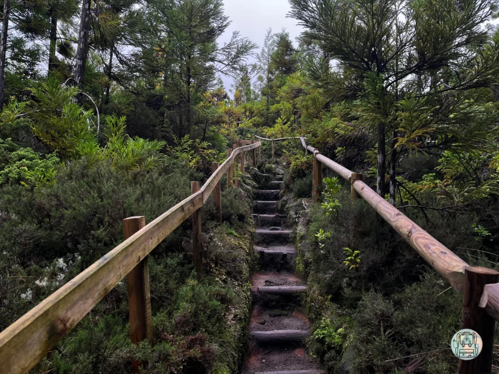 Que ver en Terceira, Hike Mistérios Negros - PRC01