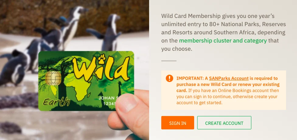 Donde comprar la wildcard