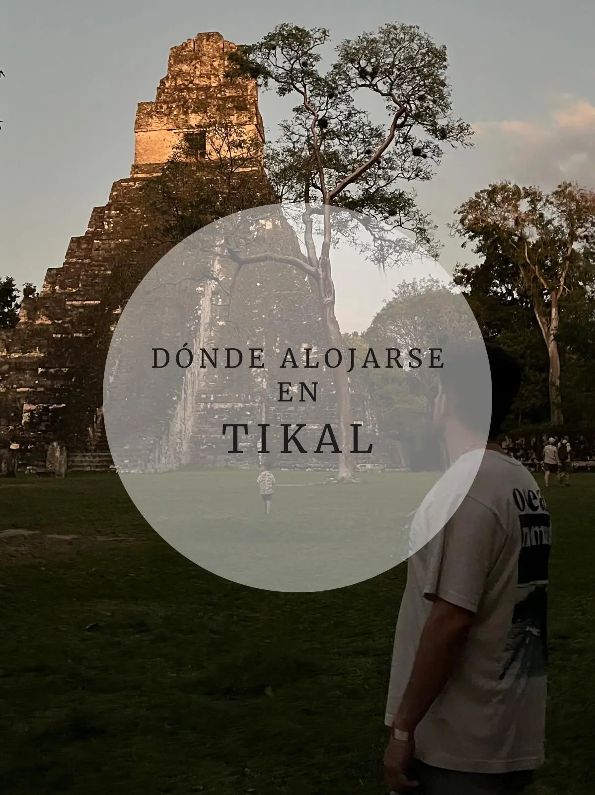 WhatsApp-Image-2025-03-27-at-13.21.28 Portada Alojamientos Tikal