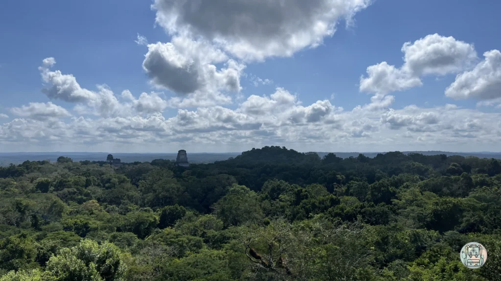 Vistas desde la pirámide IV con los otros templos de fondo en medio de la selva