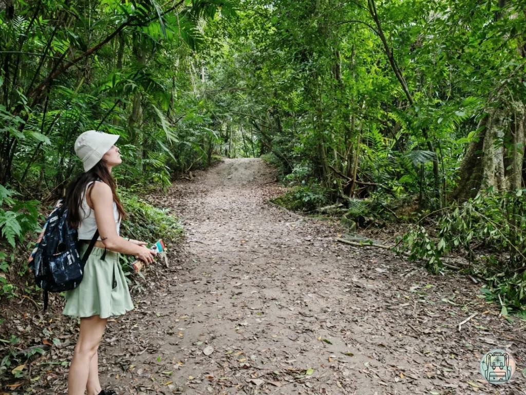 Como visitar tikal, guatemala