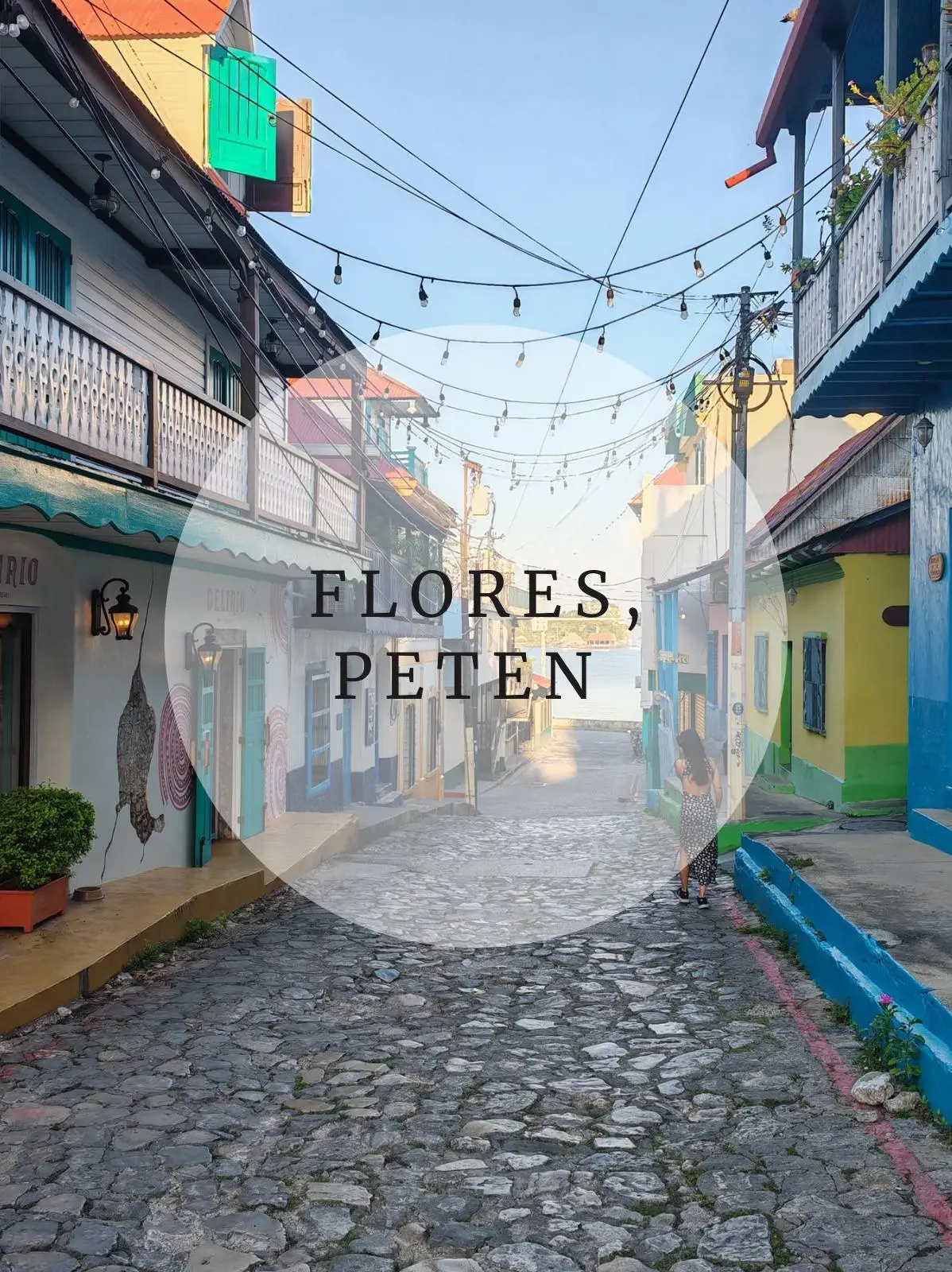 WhatsApp-Image-2025-05-28-at-19.53.50 Portada Flores Guatemala