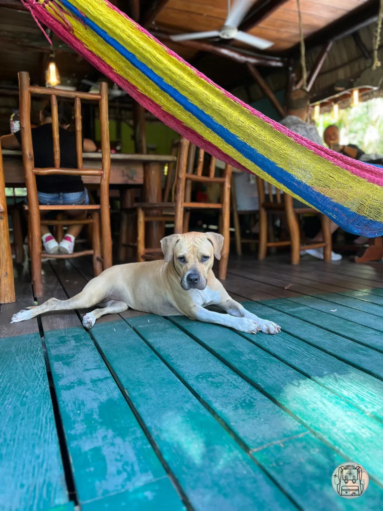 Alojamiento Casa Perico en Rio Dulce, Guatemala