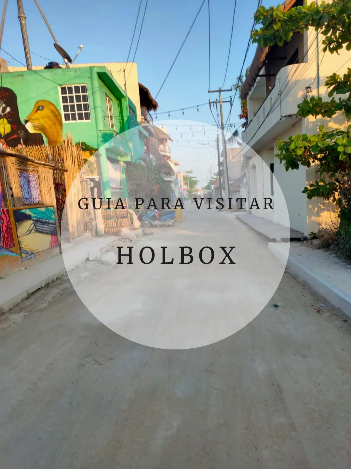 WhatsApp-Image-2025-08-29-at-18.59.11 Portada Holbox
