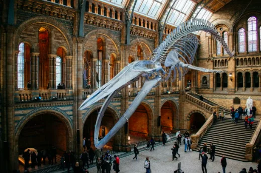 Museo de historia natural de Londres
