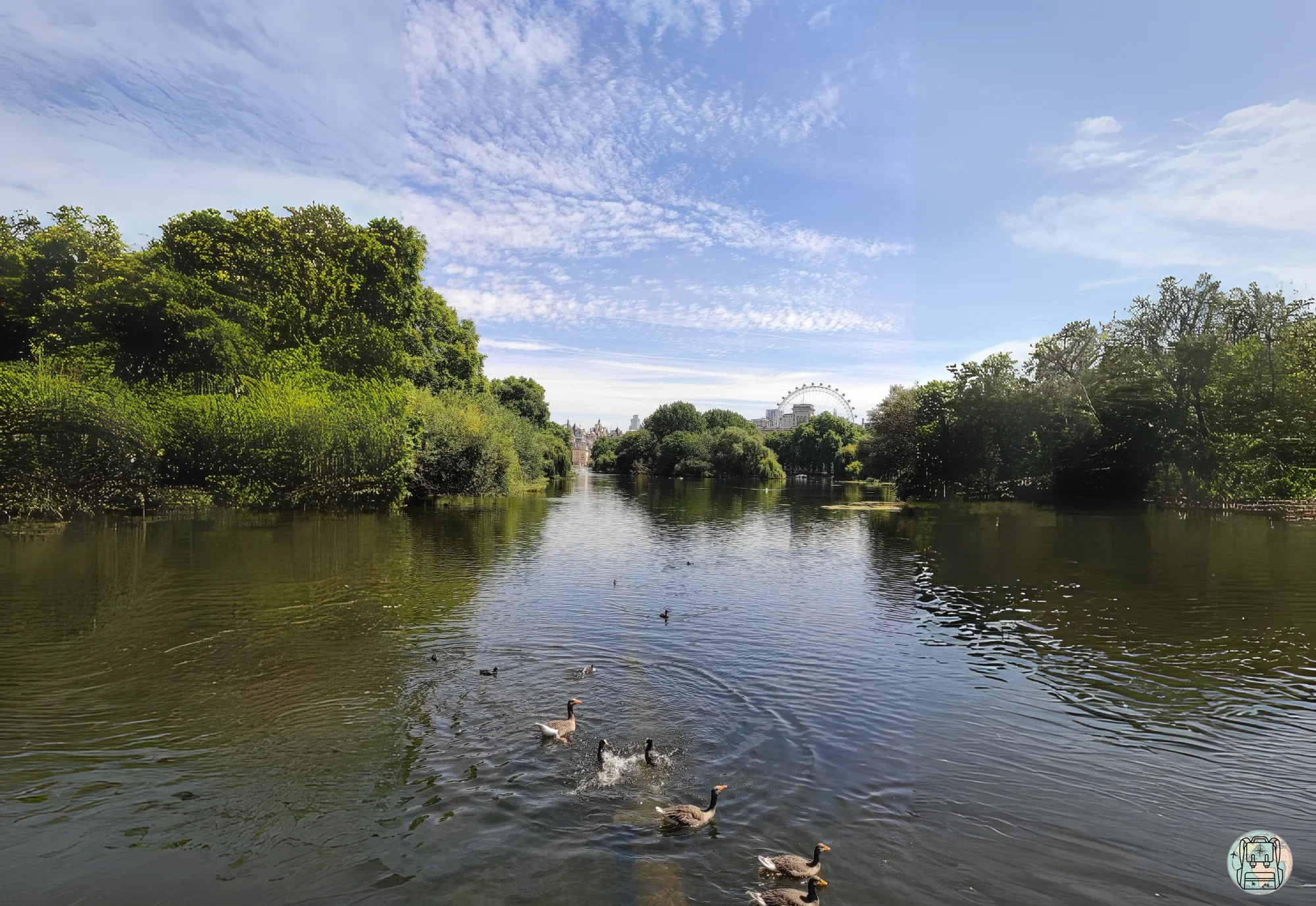 Vista panorámica de un lago en uno de los parques de Londres con patos nadando, con el London Eye visible al fondo, una de las actividades gratuitas para disfrutar en la ciudad